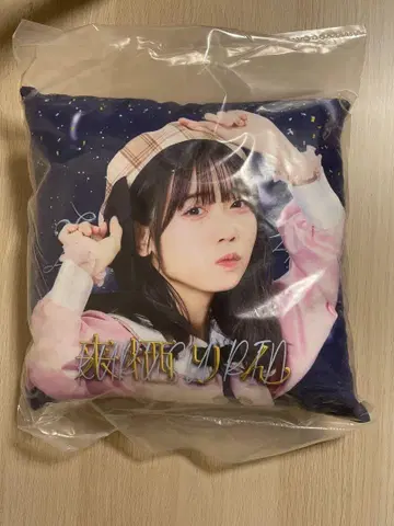 쿠루스 린 쿠션