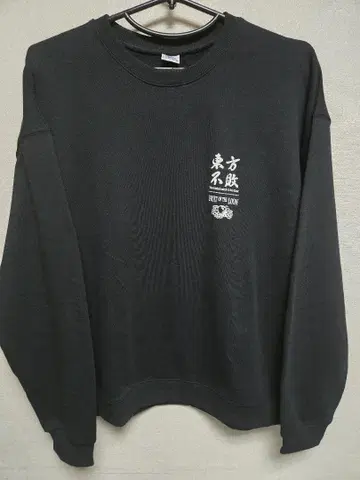 STRICT-G FRUIT OF THE LOOM 기동무투전 G건담
