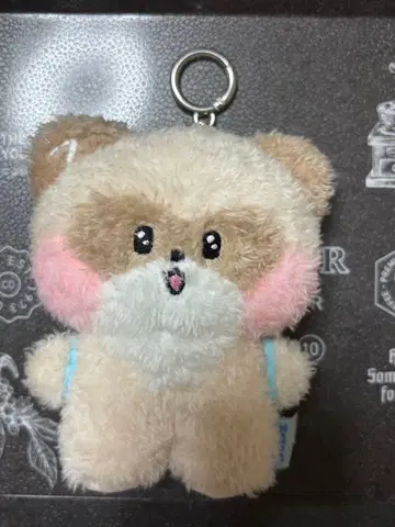 zeroni hanini 하니니 메시지 봉제 인형 키링 장하오