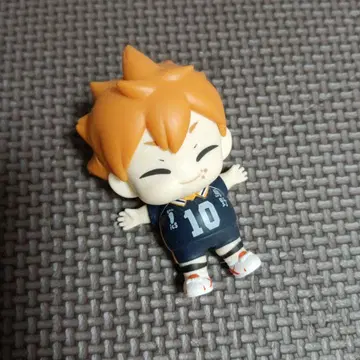 하이큐 히나타 쇼요