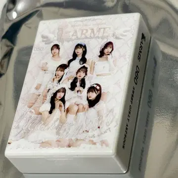 LARME FRUITSZIPPER 지퍼 액세서리
