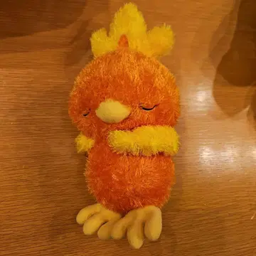 아차모 봉제 인형