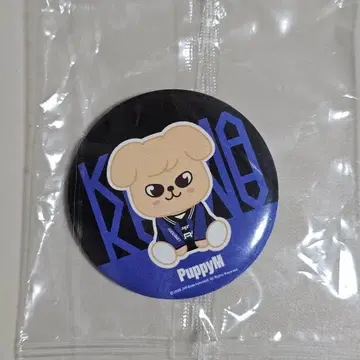 Stray Kids KARMA POPUP PuppyM 캔 거울