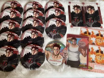 나의 히어로 아카데미아 엔데버 십걸 묶음 판매