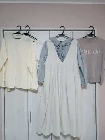 사만사 모스모스 묶음 판매 세트