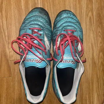 mizuno 모렐리아 한정판 색상