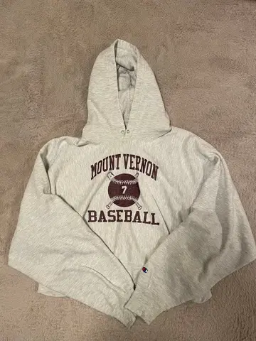 preloved 구매 Champion 리버스 위브 후드티