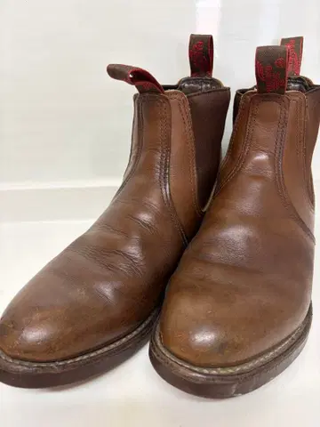 RED WING 8192 사이드 고어 부츠