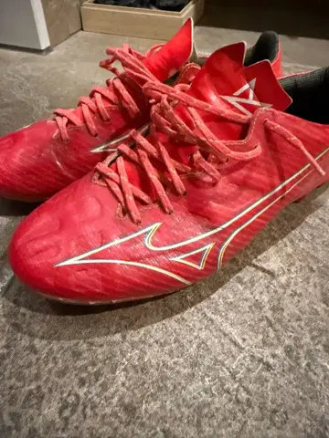 미즈노 알파 25cm