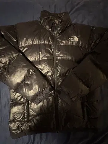 THE NORTH FACE SUMMIT SERIES down jacket