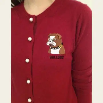 불독 가디건 muveil