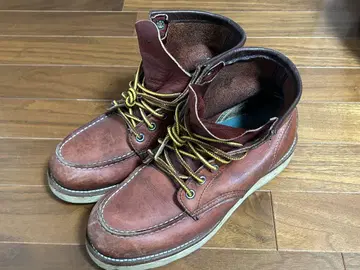 REDWING 아이리쉬 세터