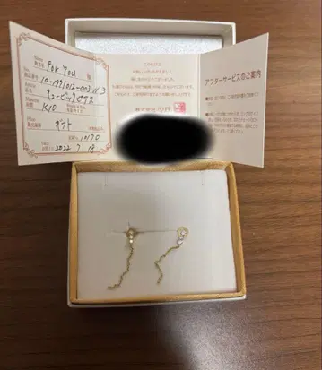 베리테 귀걸이