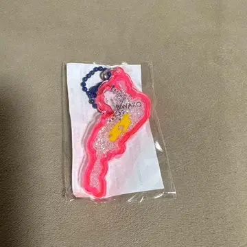 비와코 아크릴 키링 썬더