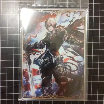 섀도우버스 알베르 경질 카드 케이스 POPUP