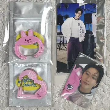 SKZOO ACRYLIC CARABINER 돼끼 2종 외