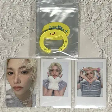 SKZOO ACRYLIC CARABINER 외 필릭스 포가리