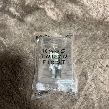 KAWS Flayed Companion 키링