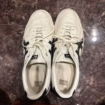 오니츠카타이거