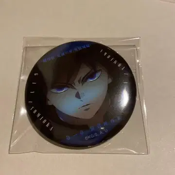 귀멸의 칼날 무한성편 이야기가 담긴 눈빛 캔뱃지 토미오카 기유