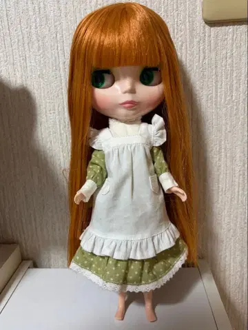 네오 브라이스 플래드 퍼레이드 본체와 덤