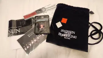 &TEAM AWAKEN THE BLOODLINE 업그레이드 혜택