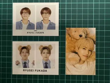 후카다 류세이 ACEes 곰돌이 귀 안경 골판지