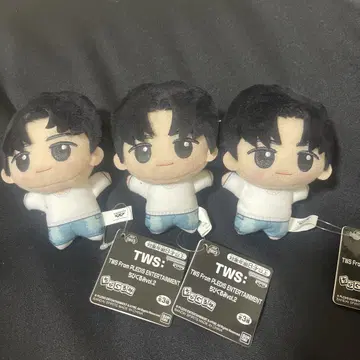 TWS 투아스 SD 인형 vol.2 YOUNGJAE 영재 3인 세트