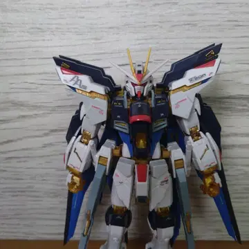 RG 스트라이크 프리덤 건담