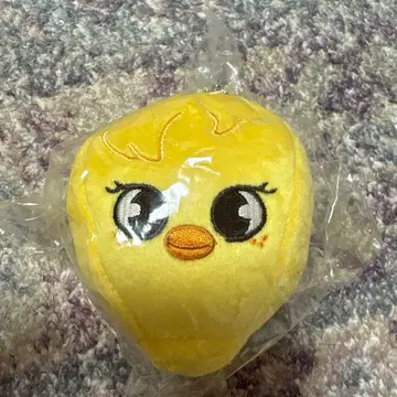 필릭스 백참 straykids