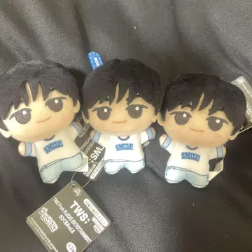 TWS SD 인형 DOHOON 2인 세트