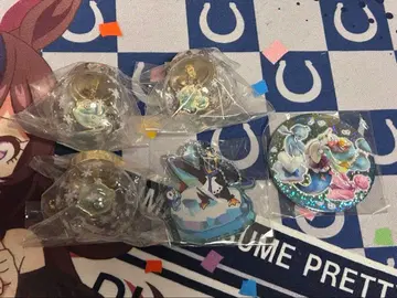 포켓몬스터 오너먼트 참 컬렉션 캔뱃지 5개 세트