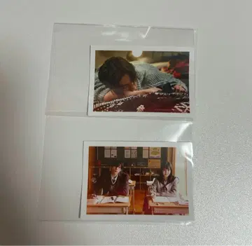 옆집 스텔라 입장 혜택 야기 유세이
