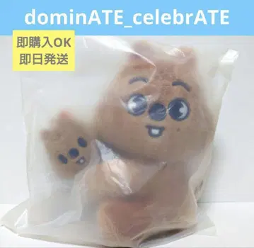 종료 SKZOO MAGNET PLUSH SET 한쿼카