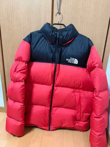 THE NORTH FACE 다운 자켓 빨검