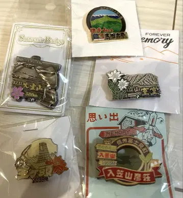 산 핀 배지 핀즈