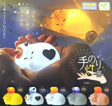 손안의 등불 ~고양이~