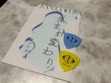 요루시카 도작 재연 피크