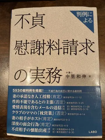 부정행위 위자료 청구 실무 나카자토 카즈노부 저