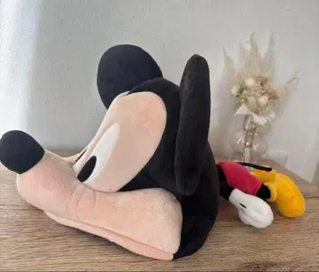 도쿄 디즈니 리조트 미키마우스 팬캡 Disney