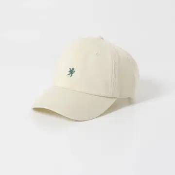 새상품급/GYMPHLEX/캡
