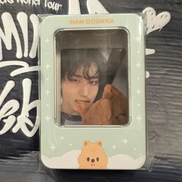 한 SKZOO 포토카드 틴케이스 트레이딩 카드 케이스 본국