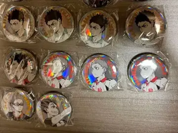 하이큐!! 포트레이트 샤이니 캔뱃지 묶음 판매 (개별 판매 가능)