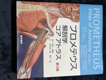 프로메테우스 해부학 코어 아틀라스 제3판