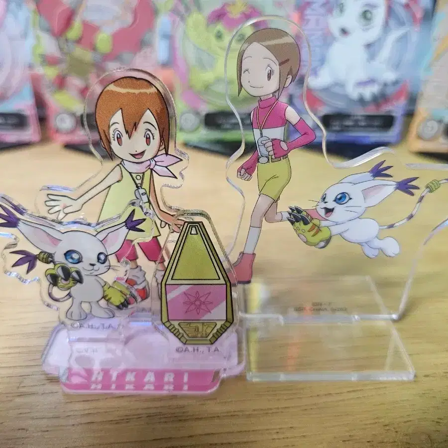 Digimon Kari Gatomon acrylic stand #디지몬,#디지몬아크릴,#신나리