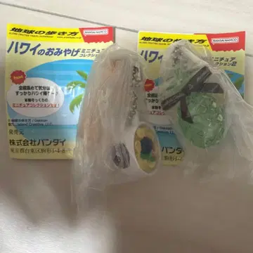 하와이 기념품 미니어처 컬렉션 2개 세트