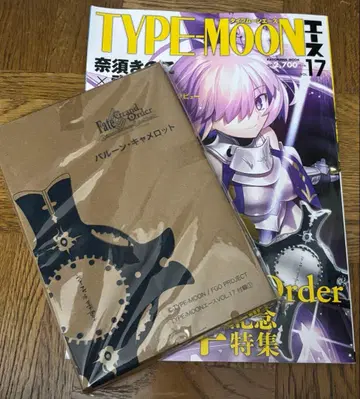 TYPE-MOON 에이스 VOL.17 미사용 새상품