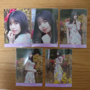 노기자카46 사이토 아스카 브로마이드 5종 컴프 x 11종