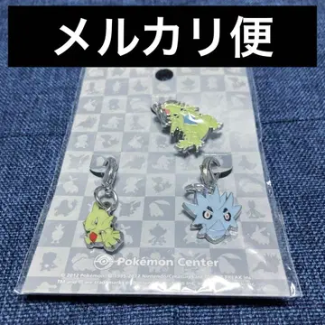 레어 포켓몬 메탈참 마기라스 애버라스