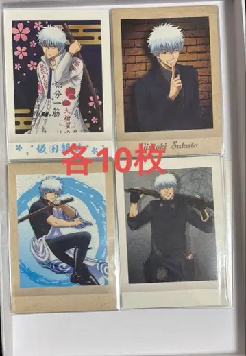 은혼 파샤코레 사카타 긴토키